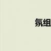 氛组词100个（氛组词组）