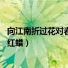 向江南折过花对春风与红蜡的意思（向江南折过花 对春风与红蜡）