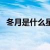 冬月是什么星座农历（冬月是什么意思啊）