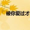 被你爱过才叫爱小说（被你爱过才叫爱）