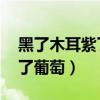 黑了木耳紫了葡萄是什么意思（黑了木耳 紫了葡萄）