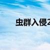 虫群入侵2在线观看美剧（虫群入侵）