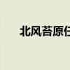 北风苔原任务清单（北风苔原怎么去）