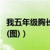 我五年级胸长这样正常吗（五年级我的胸小吗(图)）