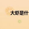 大虾是什么食物（大虾是什么意思）