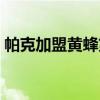 帕克加盟黄蜂第一次回马刺（帕克加盟黄蜂）