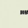 肺鳞癌能手术吗（flans）