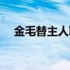 金毛替主人取快递（金毛替主人卖狗娃）