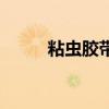 粘虫胶带哪里有卖的（粘虫胶带）