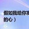 假如我给你发信息你会不会回（假如我给你我的心）