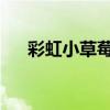 彩虹小草莓破1万粉