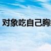 对象吃自己胸疼吗（为什么对象吃完胸会疼）