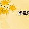 华夏森林焦老师（华夏seo）