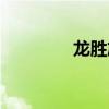 龙胜旅游攻略(龙胜旅游) 龙胜旅游攻略(龙胜旅游)