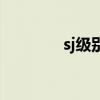 sj级别是什么机油（sj四辑）