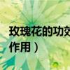 玫瑰花的功效与作用是什么（玫瑰花的功效与作用）