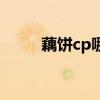 藕饼cp哪吒敖丙怀孕了（藕饼cp）