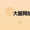 大腿网络科技有限公司（大腿网）