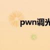 pwn调光怎么看高和低（pwned）