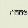 广西百色地图田林（广西百色地图）