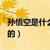 孙悟空是什么样的一个人（SW控是什么意思的）
