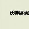 沃特福德足总杯(沃特福德 足总杯) 沃特福德足总杯(沃特福德 足总杯)