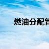 燃油分配管道压力太低（燃油分配管）