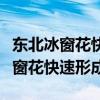 东北冰窗花快速形成十八罗汉十七位（东北冰窗花快速形成）