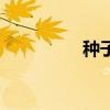 种子价格表(种子价格) 种子价格表(种子价格)