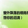 窗外飘落的细雨是我想你的泪滴女版（窗外飘落的细雨是我想你的泪滴）