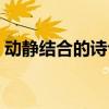 动静结合的诗句五年级的（动静结合的诗句）