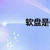 软盘是什么东西（软盘是什么）