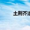 土荆芥治什么病最有效（土荆芥）
