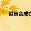 徽章合成在哪里合的（徽章合成技巧）