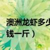澳洲龙虾多少钱一斤今日价格（澳洲龙虾多少钱一斤）