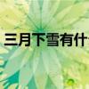 三月下雪有什么花开（三月下雪有什么预兆）