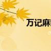 万记麻辣烫图片（万记麻辣烫）