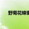 野菊花蜂蜜是什么颜色（野菊花蜂蜜）