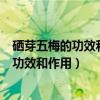 硒芽五梅的功效和作用肝硬化的人能否要孩子（硒芽五梅的功效和作用）
