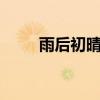 雨后初晴超5音箱评测（雨后初晴）