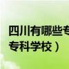 四川有哪些专科学校有动漫设计（四川有哪些专科学校）