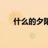 什么的夕阳什么的晚霞（什么的夕阳）