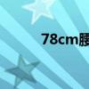 78cm腰围是多少尺码（78 cm）