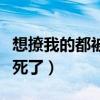 想撩我的都被气死了好看吗（想撩我的都被气死了）