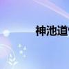 神池道情名家唱段（神池道情）