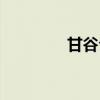 甘谷公寓出租（甘谷租房）