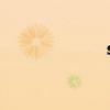 solana（solam）