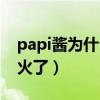 papi酱为什么不那么火了（papi酱为什么不火了）