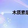 木质素是什么糖（木质素是什么）