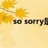 so sorry是什么意思中文（so sorry）